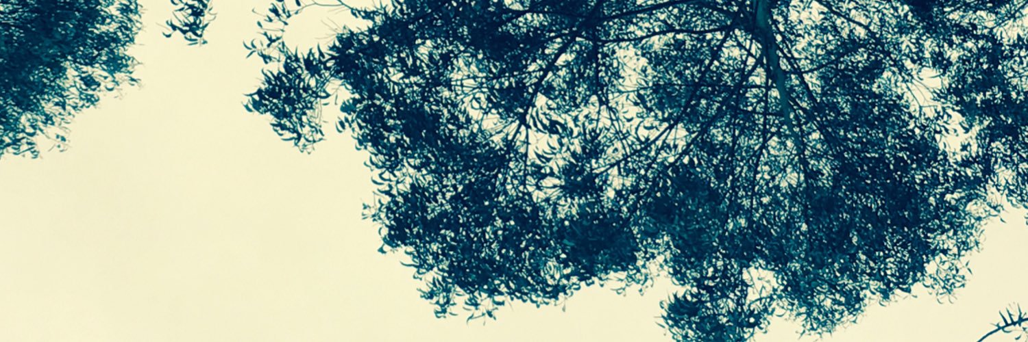 isabelalbe's profile banner image