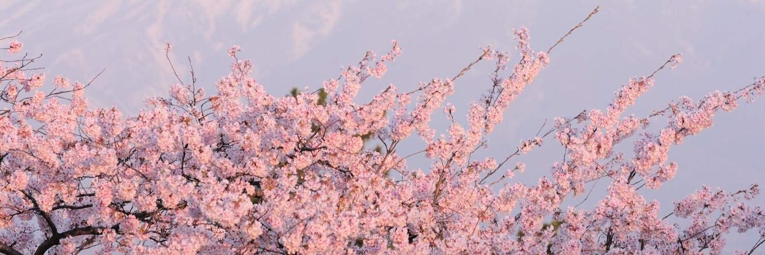 miftawardani's profile banner image