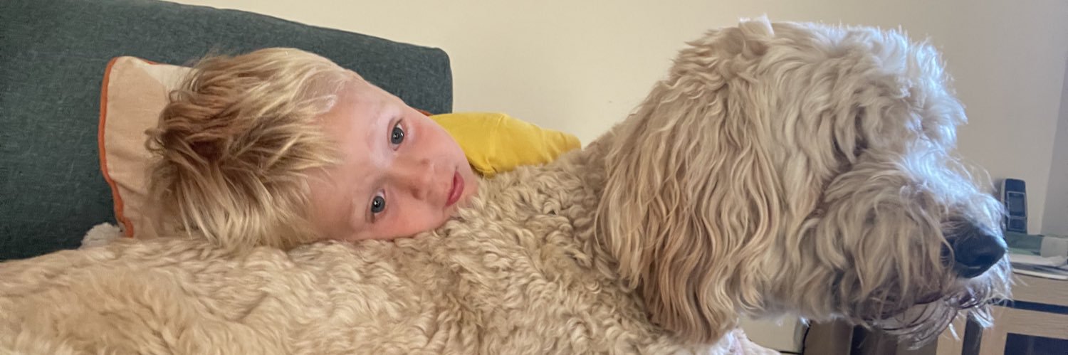 Bethan Taylor banner