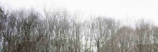 FasterThanTheWind banner