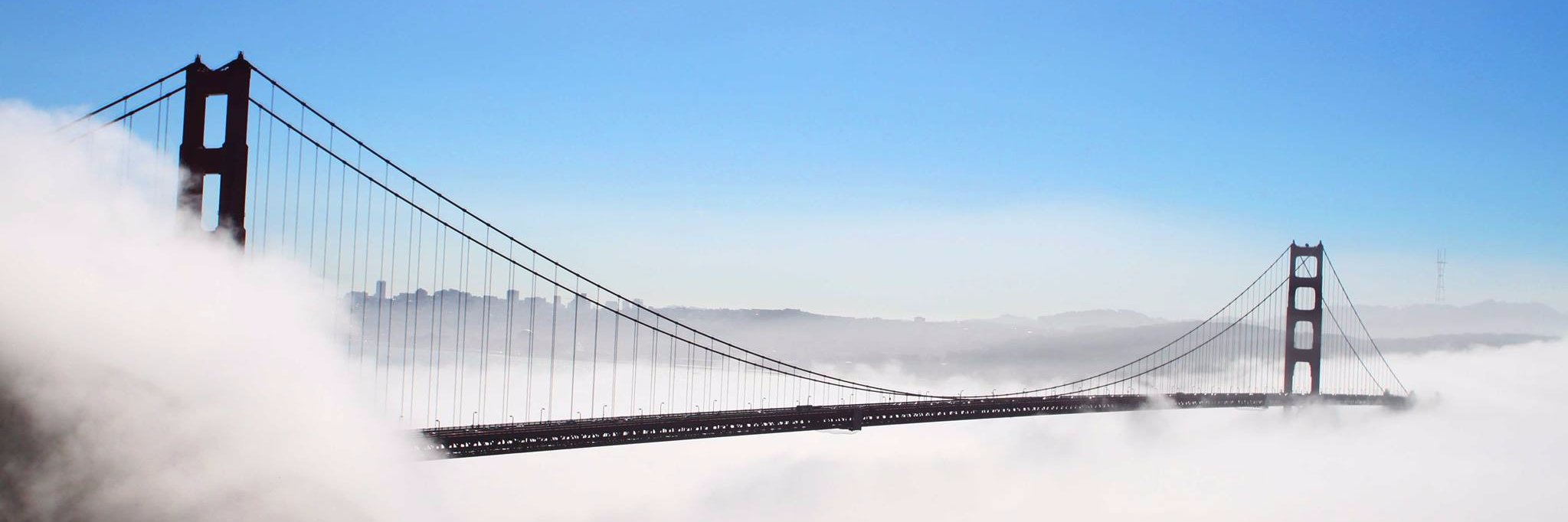 Rafael de Oleza banner