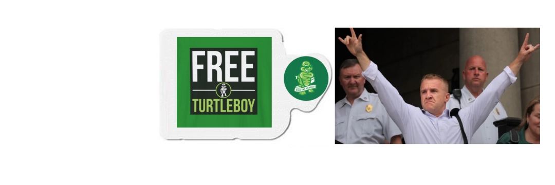 FreeTurtleboy banner