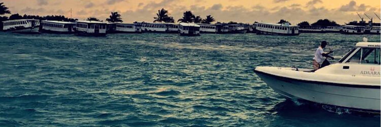 wzml44's profile banner image