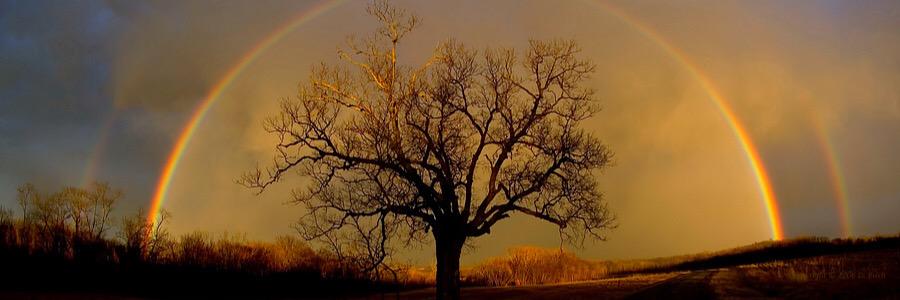 GalinacioSilva's profile banner image