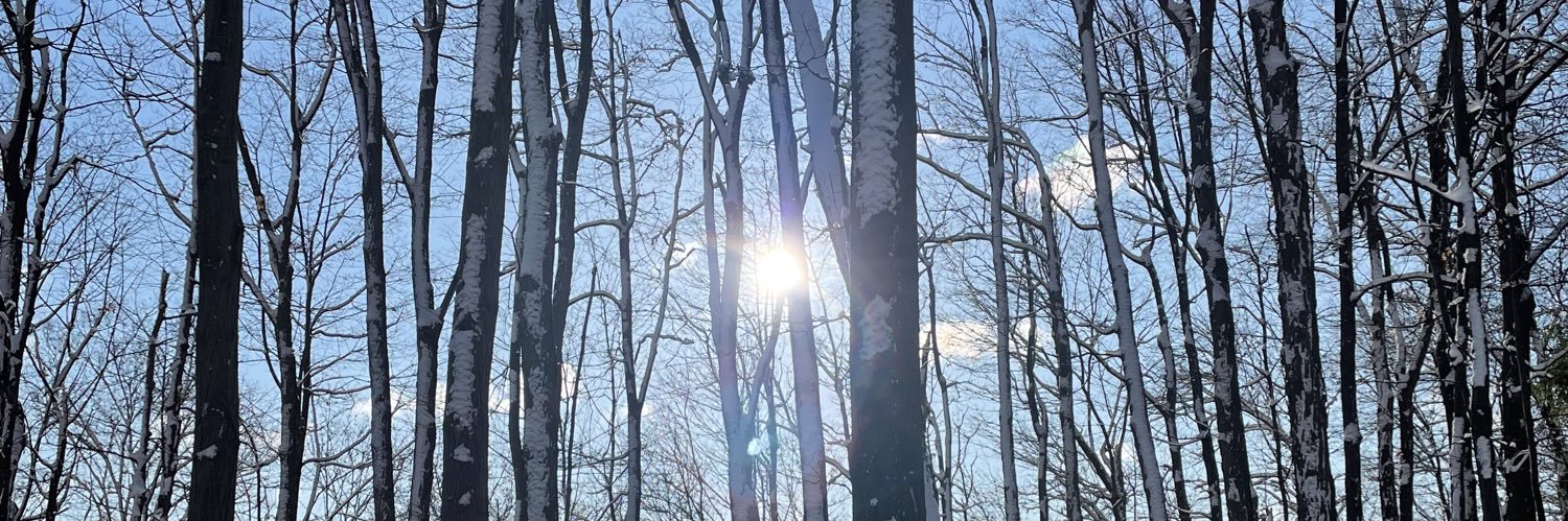 (Ian) Nathan Power banner