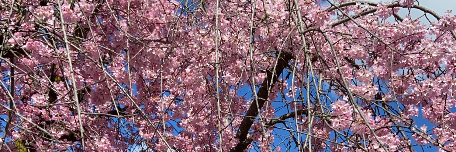 gioffry_'s profile banner image