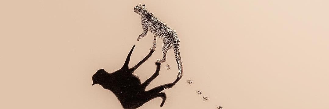 Taghreedaaa's profile banner image