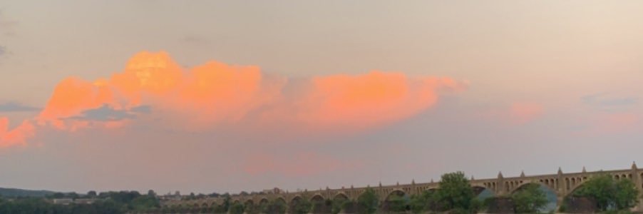 morgan winter banner