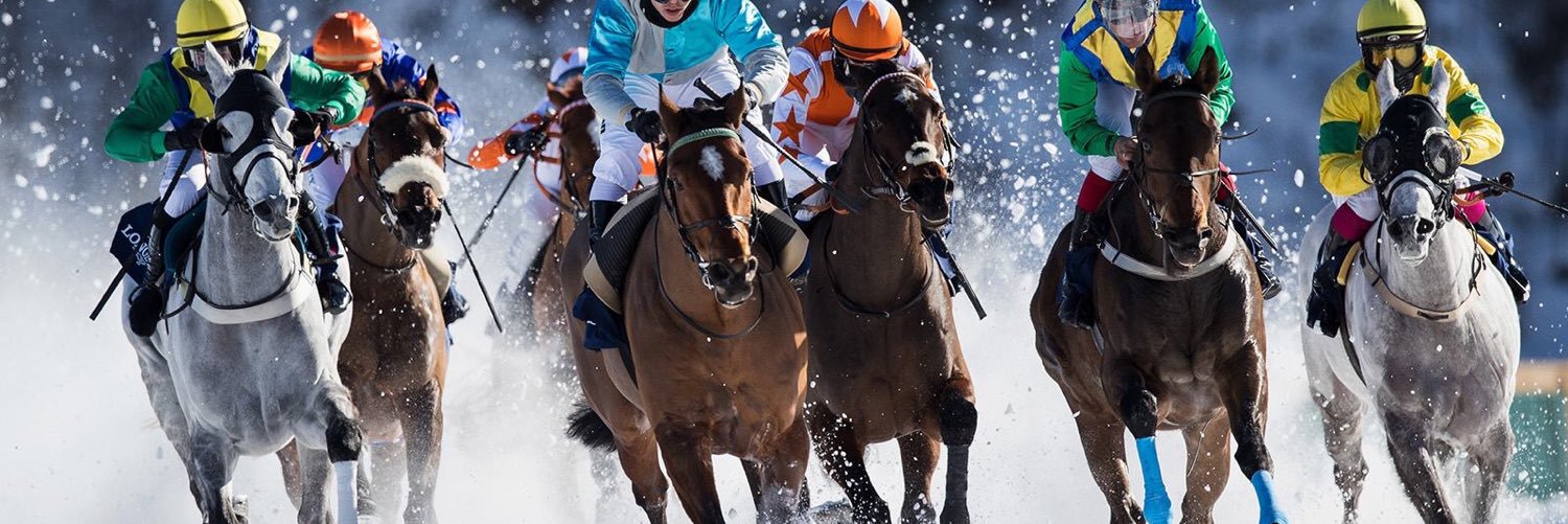 DutchMooCow🍊🇳🇱💙 banner