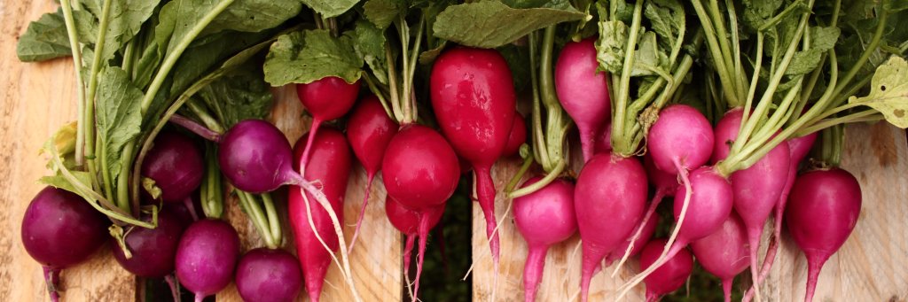 Field Good Farms banner