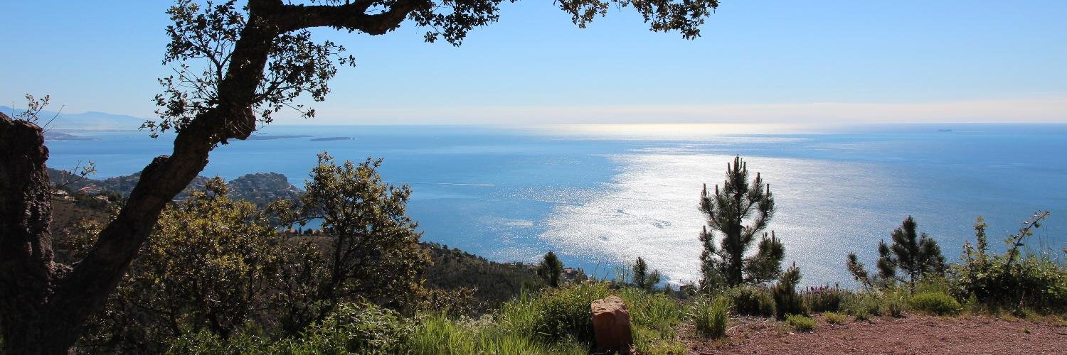 Charles Centofanti banner