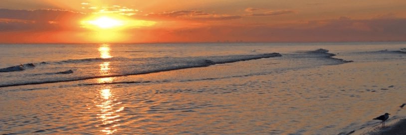 eugene buczynski banner