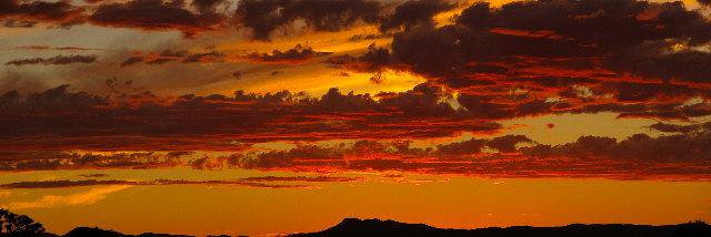 Cat Fay (she/her) banner