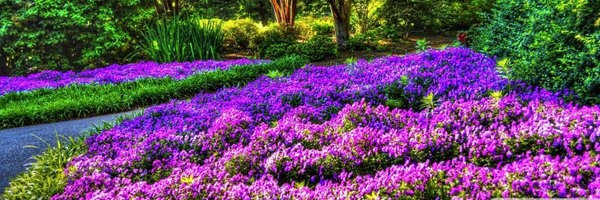 RosieSultan1 Profile Banner