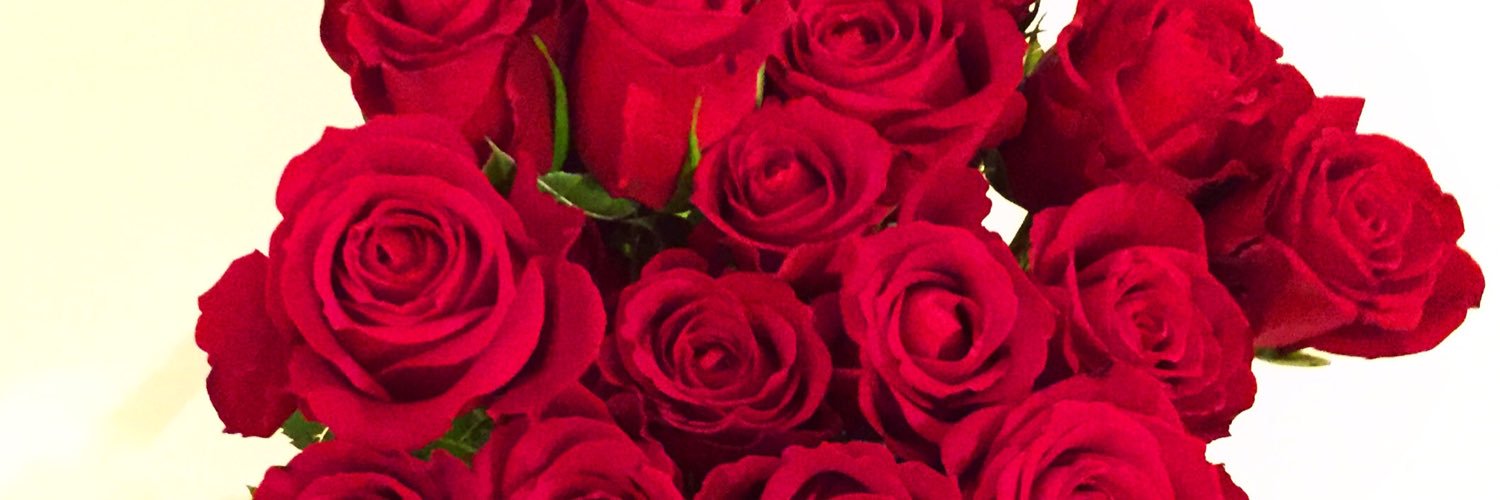 Peeernilla's profile banner image