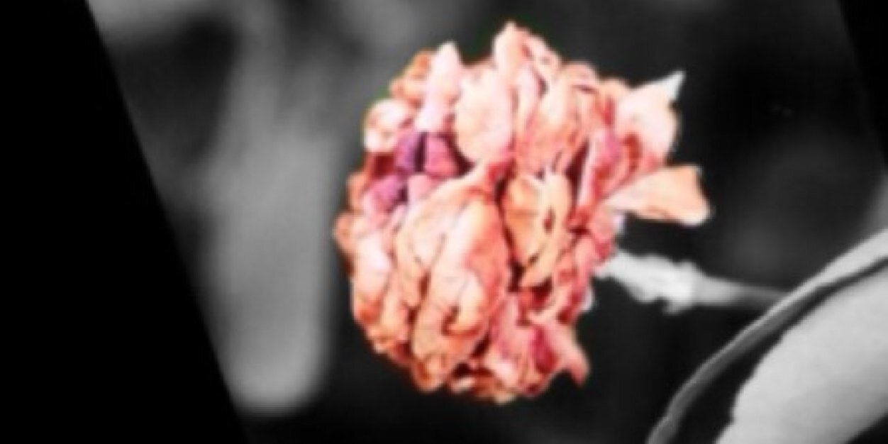 salem_abbas's profile banner image