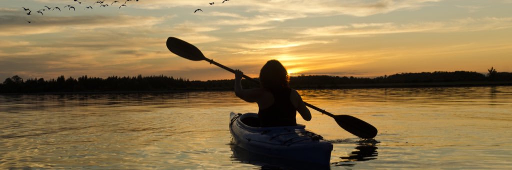 VisitDecaturAL banner