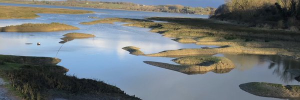 Didier Lechien Profile Banner