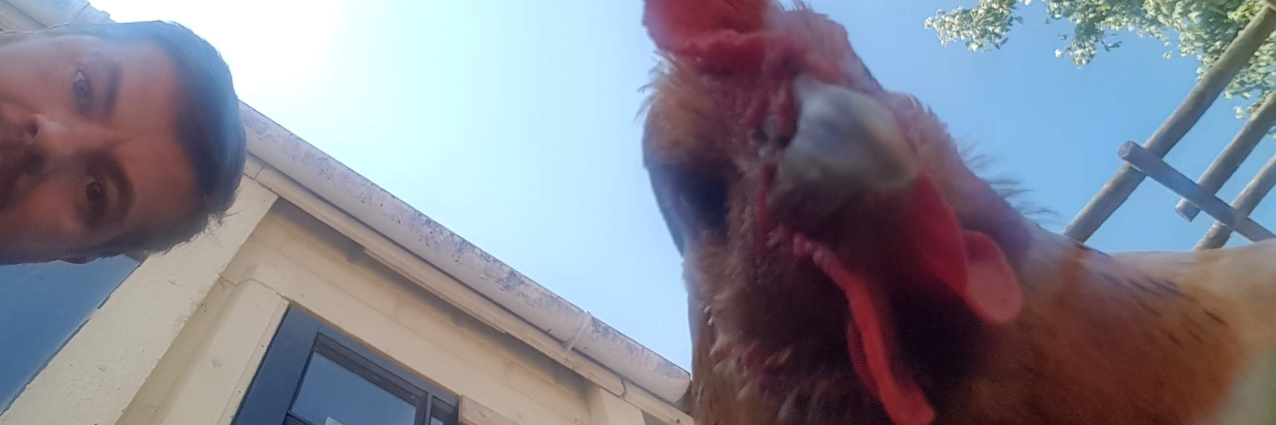 Dan Thomas 🚐 banner