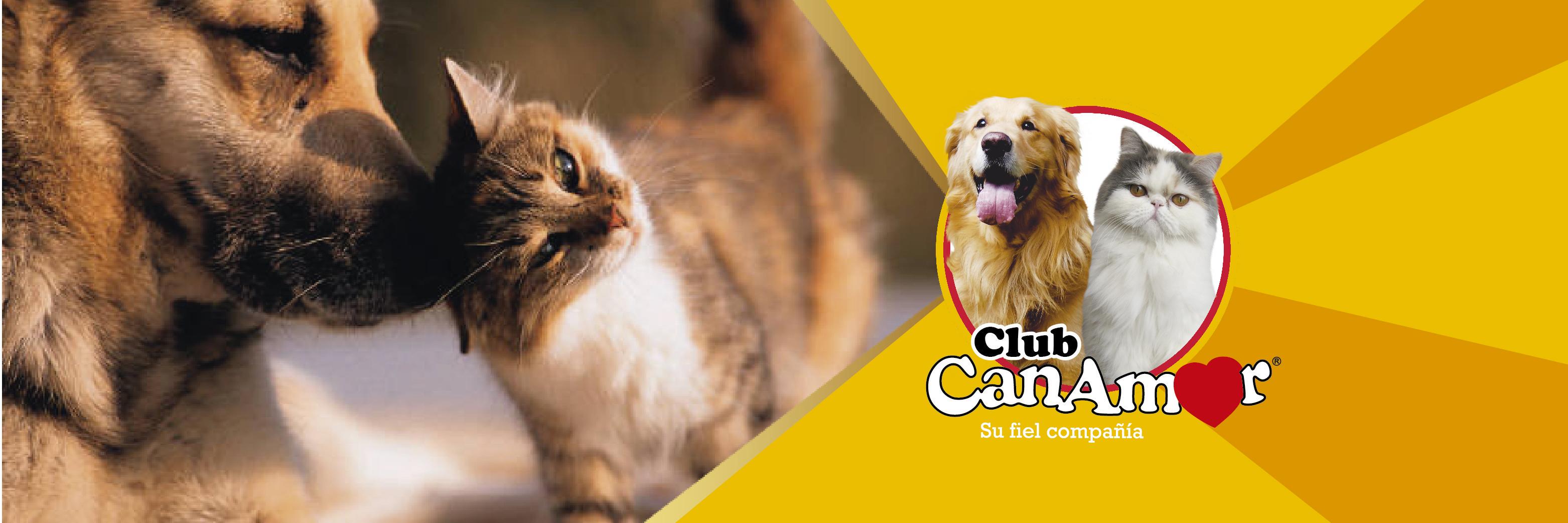 ClubCanAmor's profile banner image