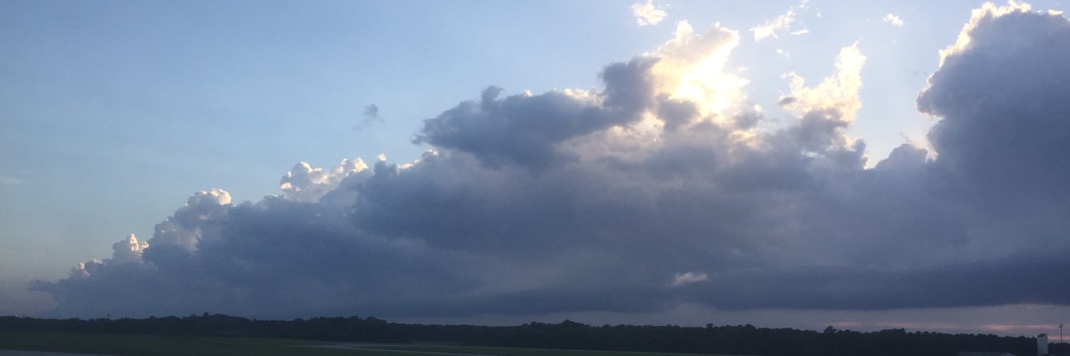 reagswright's profile banner image