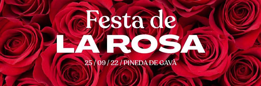 PSClaGarriga's profile banner image