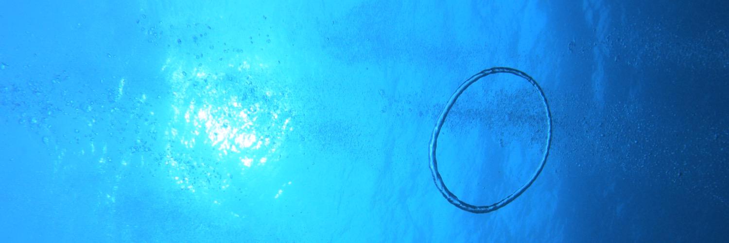 R55555T's profile banner image