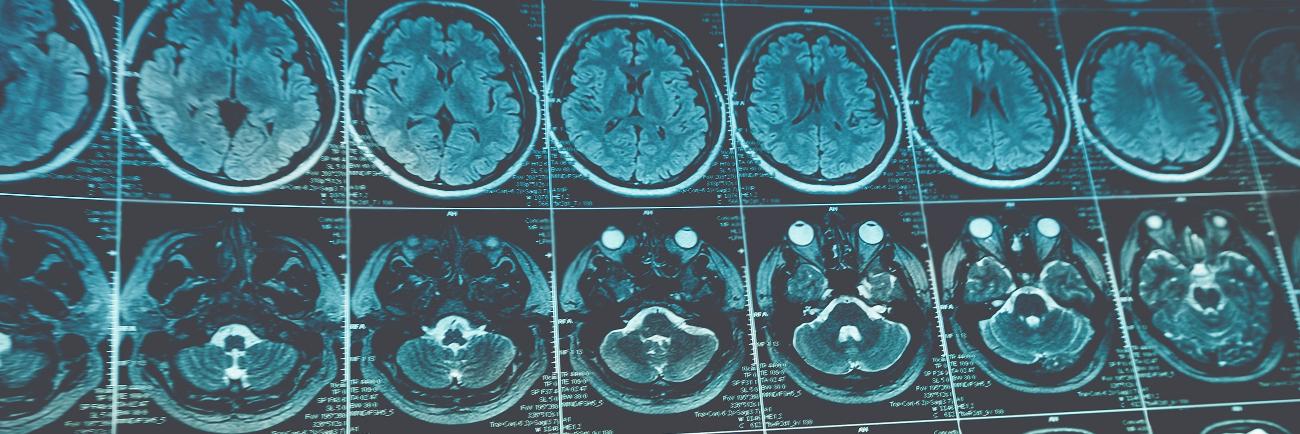 Ian Hardingham banner