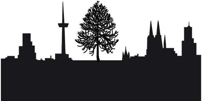mapusol's profile banner image