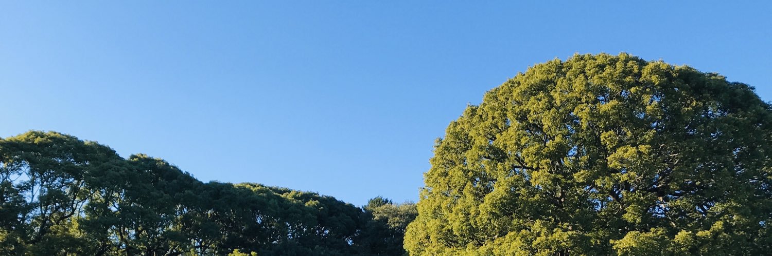 maattyan's profile banner image