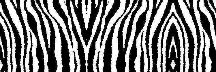 MissBooffy_'s profile banner image