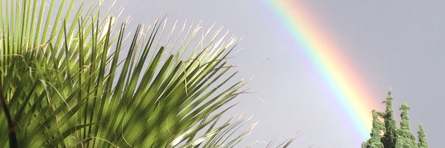 LauraCastelazo's profile banner image