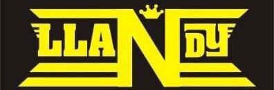 llandymania's profile banner image