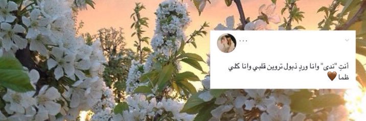 Nadrah97's profile banner image