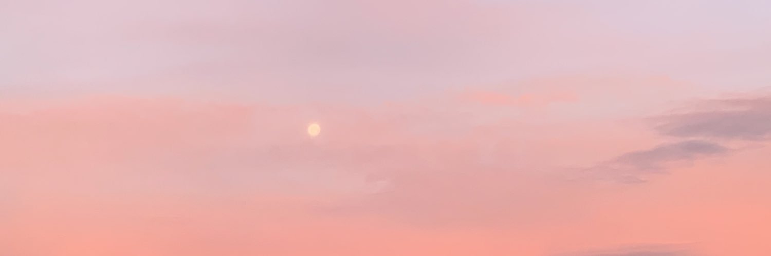 bijoulol's profile banner image