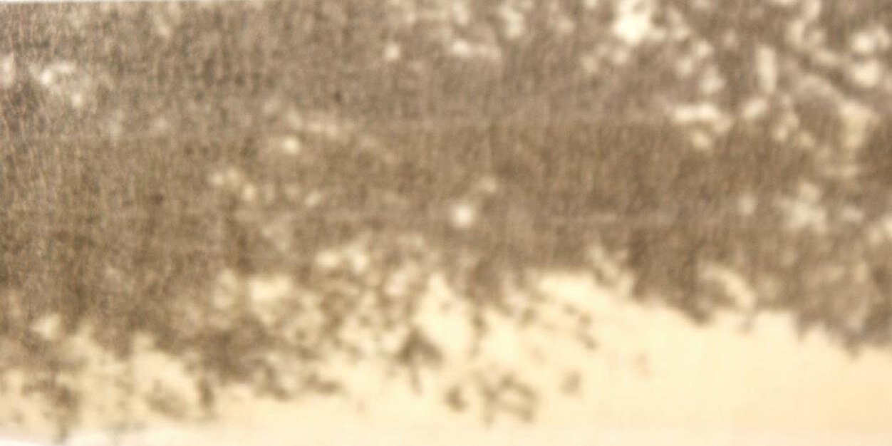 Jessica_Recas's profile banner image
