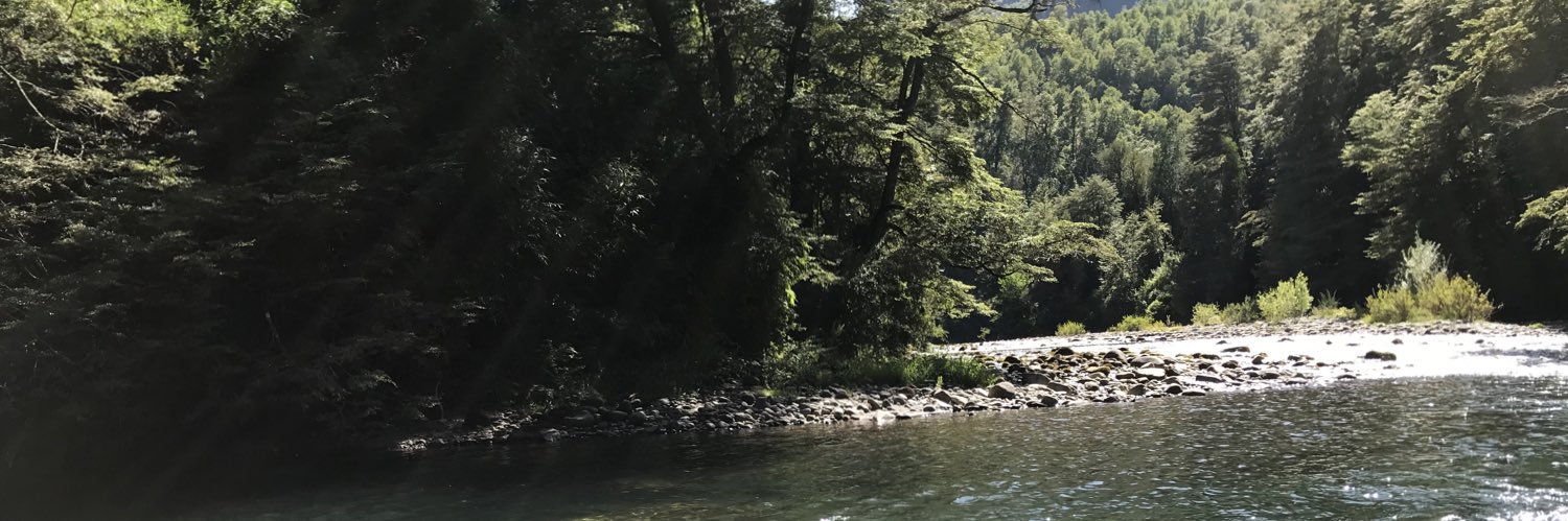 JorgeMarchantC's profile banner image
