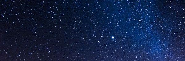 Nisha_Canes's profile banner image