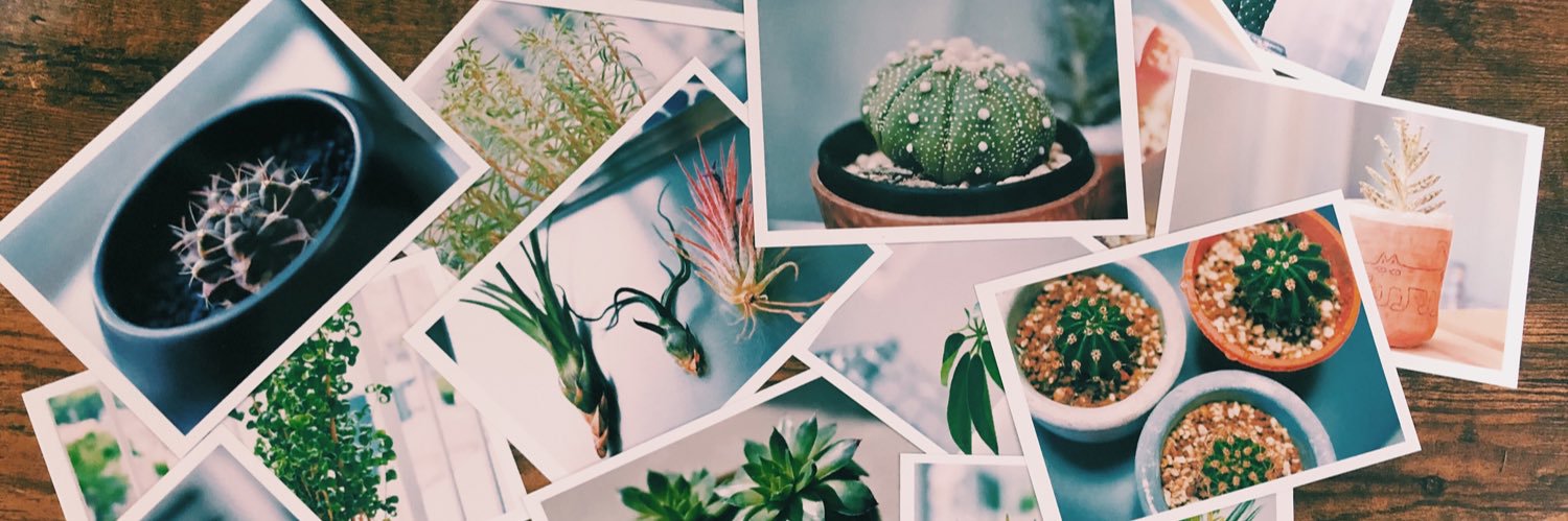 しもしもまいまい banner