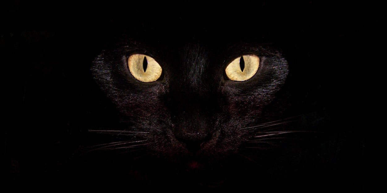 zetaaaf's profile banner image