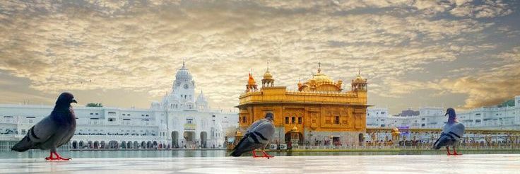 Safarnama💫 banner