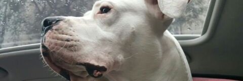 sofiap_14's profile banner image