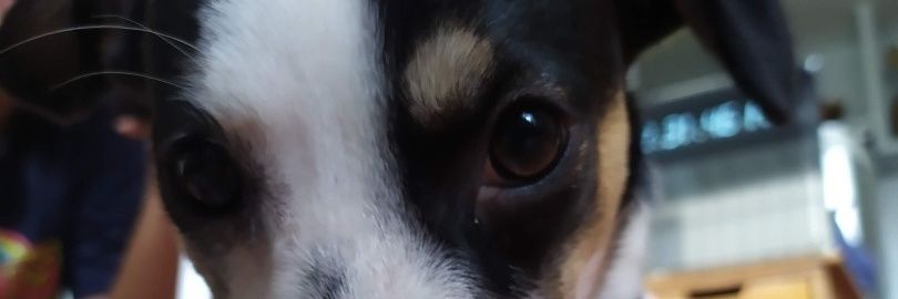 SoyMayerlinC's profile banner image