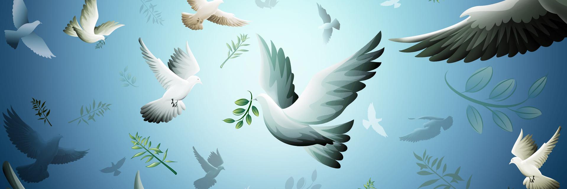 sheliazhenko's profile banner image