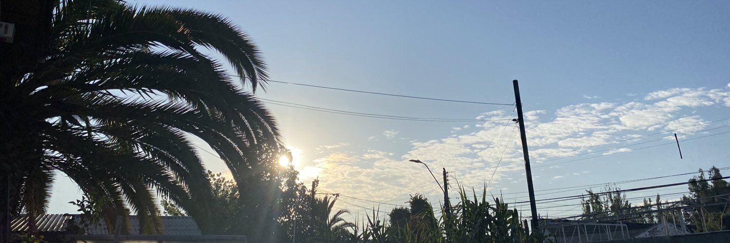 MichelRamirez21's profile banner image
