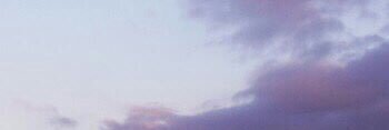 wiikusc's profile banner image