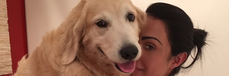 MeuAnjoGra's profile banner image