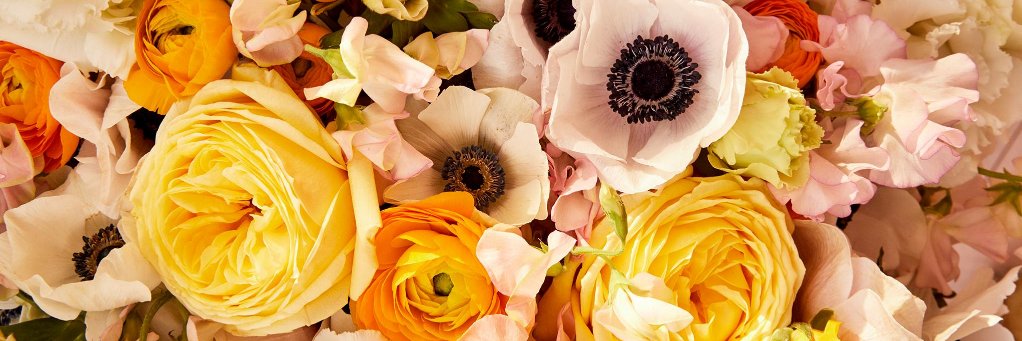 LOFTCanada's profile banner image
