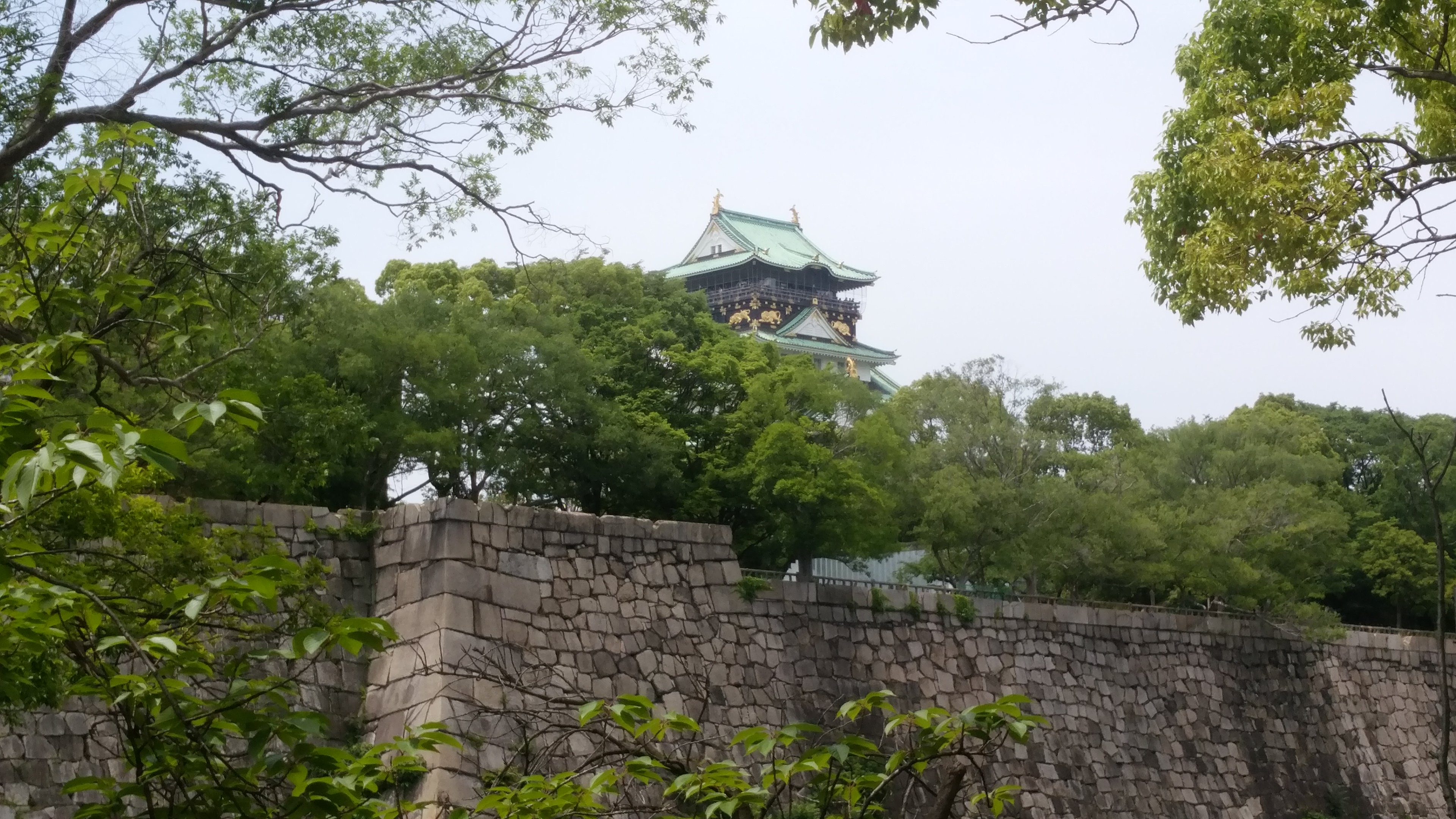 higapon's profile banner image