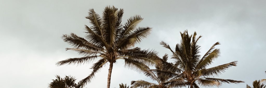 ArynnCasper's profile banner image